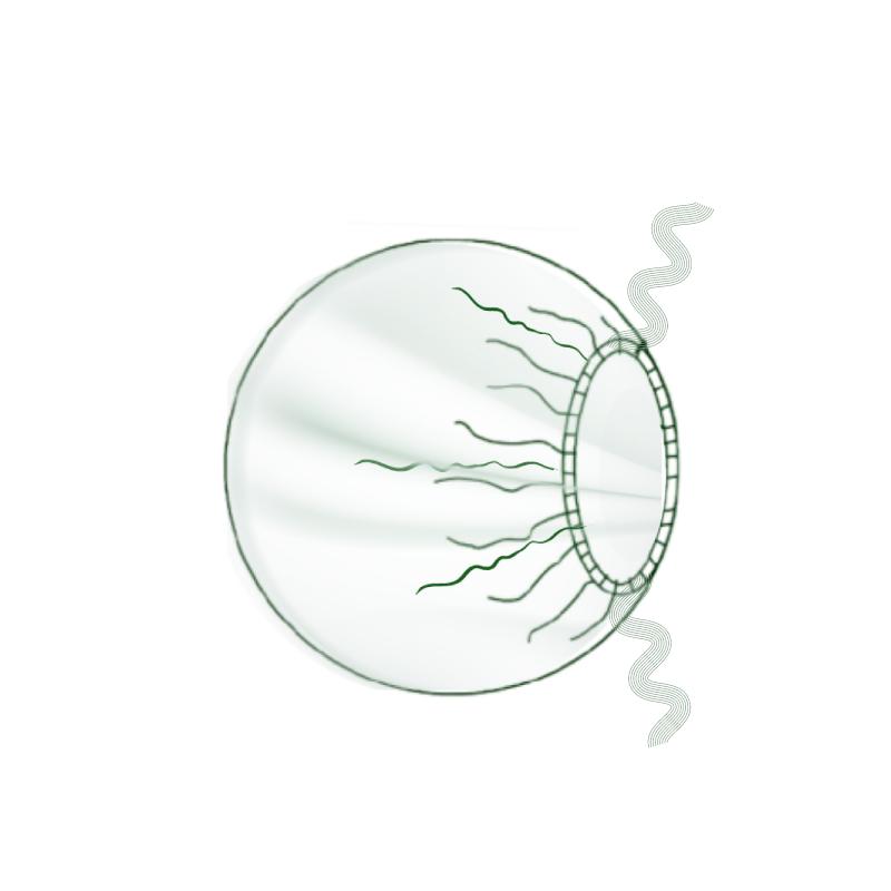 Чохол для обладнання, діаметр 100сm(см), поліетилен 55 g/m2(г/м2), стерильний, одноразового використання ,ТМ «АХІЛЛ»